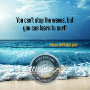 Elliott-Wave-Prinzip erlernen – wie und wo?