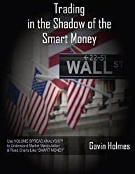 Trading in the Shadow of the Smart Money Buchcover