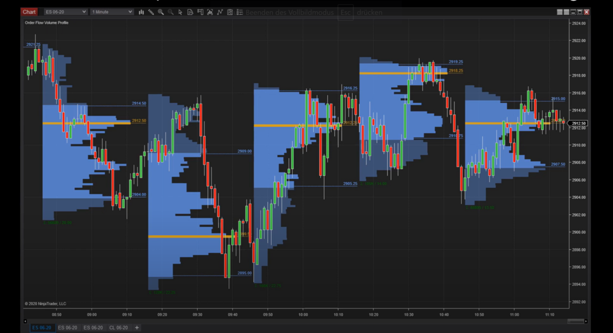 das volumenprofil und der orderflow in der ninjatrader software