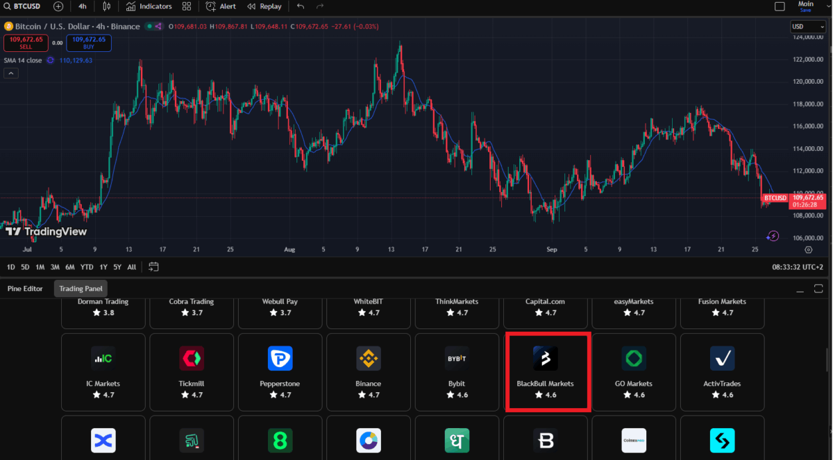 BlackBull mit TradingView Plattform verbinden