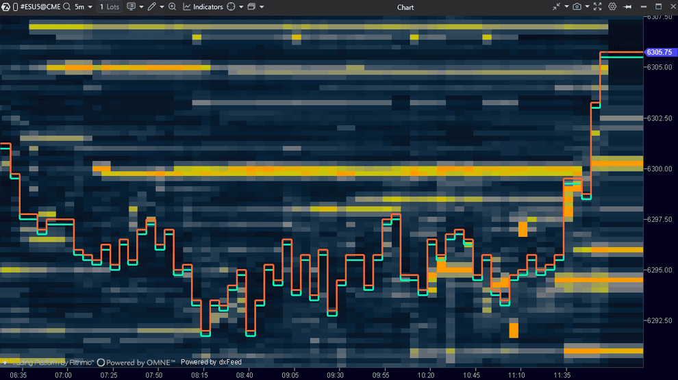 ATAS Heatmap zeigt die Liquidität im Orderbuch als Farbverlauf über die Zeit