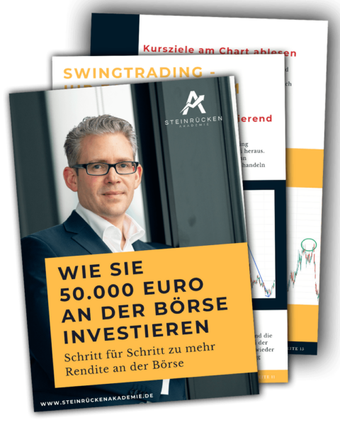 Der Steinrücken Report umfasst 28 PDF-Seiten und deckt allgemeine Investitionstipps ab sowie die Grundlagen zum Swing Trading