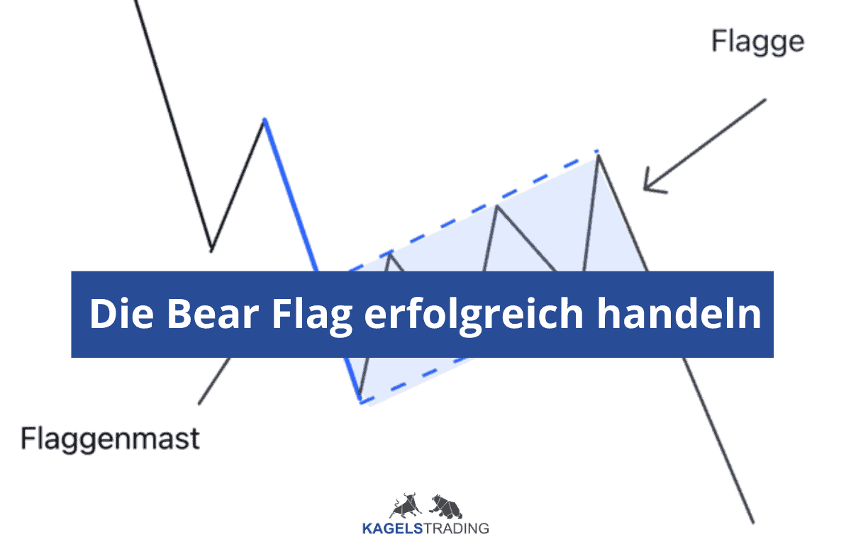 bear flag bärenflagge