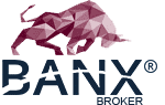 cropped banx broker logo