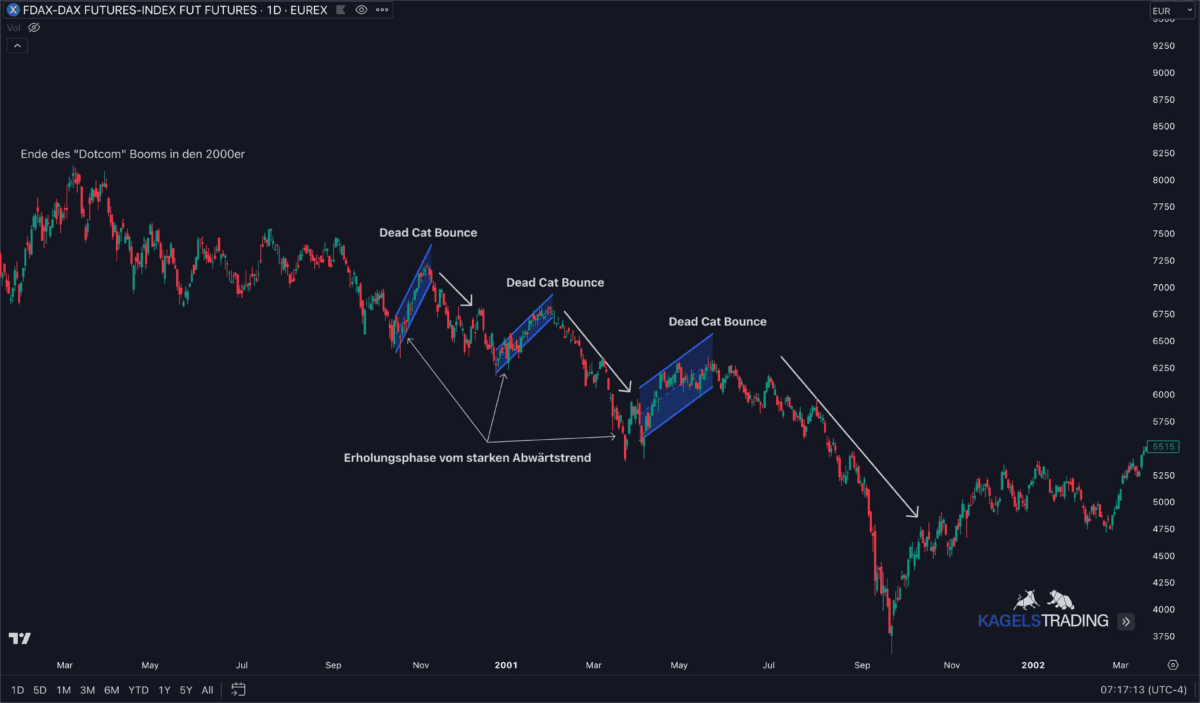 Das Bild zeigt die Tageschart des DAX zwischen 2000 und 2002 und dem Kursverfall. Während dieserJahre konnte man mehrere Dead Cat Bounce's ausmachen.