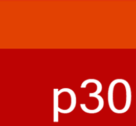 Projekt30 Logo