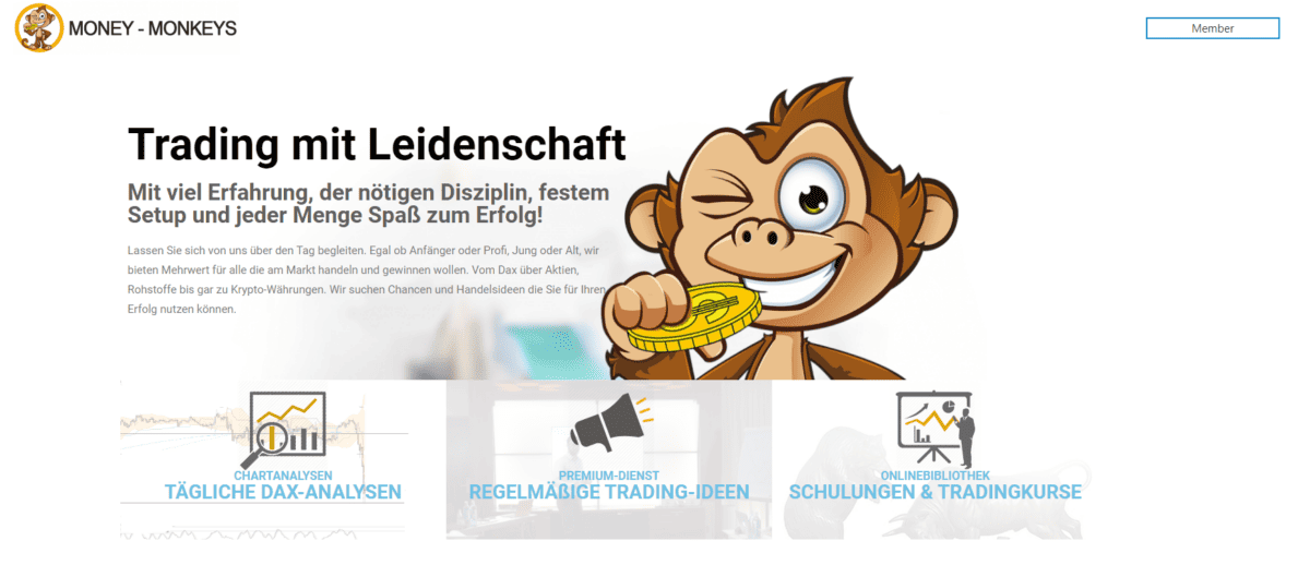 uebersichtliches design der money monkeys webseite